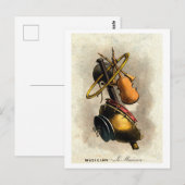 Composietportretten van beroepen: Musicus  Briefkaart (Voorkant / Achterkant)
