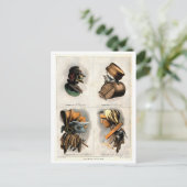 Composietportretten van Vintages Briefkaart (Staand voorkant)