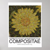 Compositae poster (Voorkant)