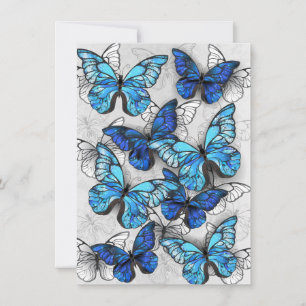 Compositie van witte en blauwe vlinders aankondiging