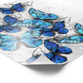 Compositie van witte en blauwe vlinders foto afdruk (Hoek)