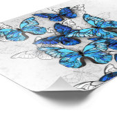 Compositie van witte en blauwe vlinders foto afdruk (Hoek)
