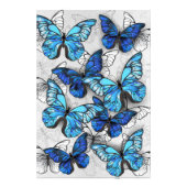 Compositie van witte en blauwe vlinders foto afdruk (Voorkant)