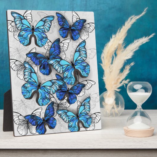 Compositie van witte en blauwe vlinders fotoplaat (Zijkant)