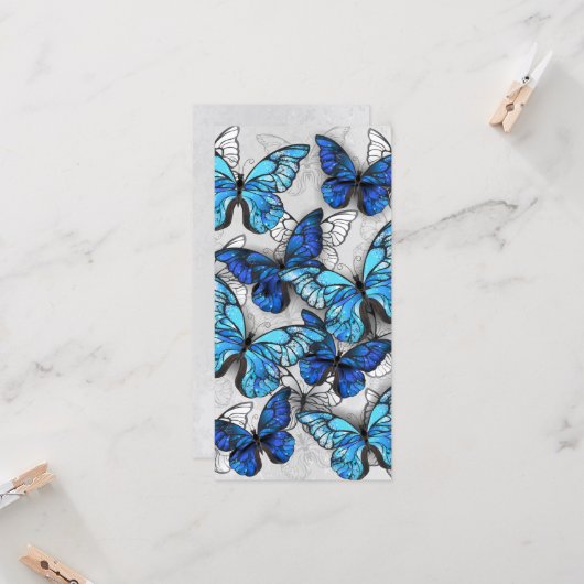 Compositie van witte en blauwe vlinders kaart (Voorkant / Achterkant in situ)