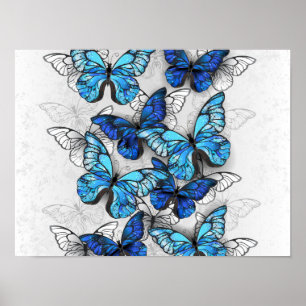 Compositie van witte en blauwe vlinders poster