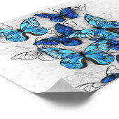 Compositie van witte en blauwe vlinders poster (Hoek)