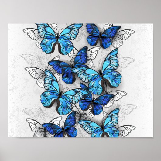 Compositie van witte en blauwe vlinders poster (Voorkant)