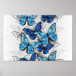 Compositie van witte en blauwe vlinders poster