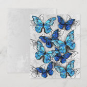 Compositie van witte en blauwe vlinders save the date (Voorkant / Achterkant)