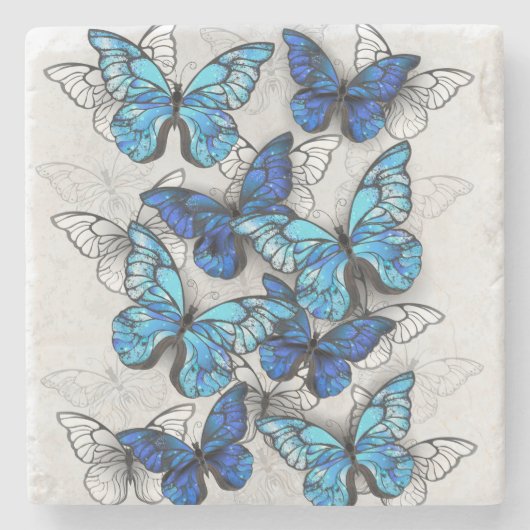 Compositie van witte en blauwe vlinders stenen onderzetter (Voorkant)