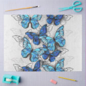 Compositie van witte en blauwe vlinders tissuepapier (Craft)