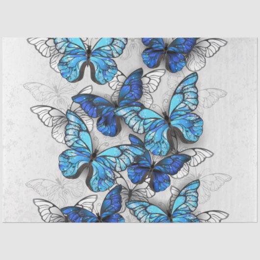 Compositie van witte en blauwe vlinders tissuepapier (Voorkant)