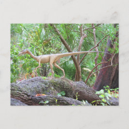 Compsognathus - Dinosaur - Leerkaart Briefkaart