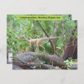 Compsognathus - Dinosaur - Leerkaart Briefkaart (Voorkant / Achterkant)