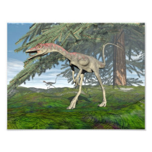 Compsognathus dinosaurussen - 3D rendering Foto Afdruk