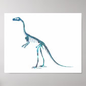 compsognathus skeleton poster (Voorkant)