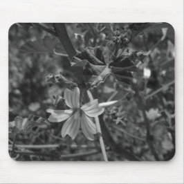 COMPUTER DESKMAT MUISMAT ART&DESIGN