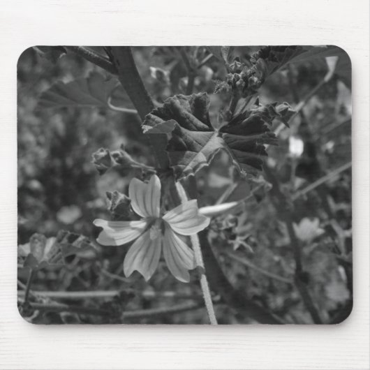 COMPUTER DESKMAT MUISMAT ART&DESIGN (Voorkant)