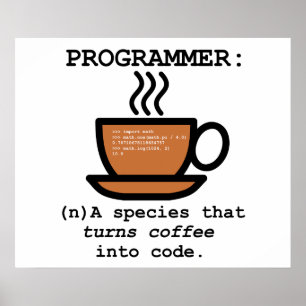 Computer Programmer Species Definition lol Poster