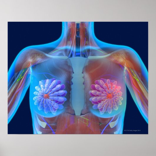 Computerkunstwerk voor borstkanker, poster (Voorkant)