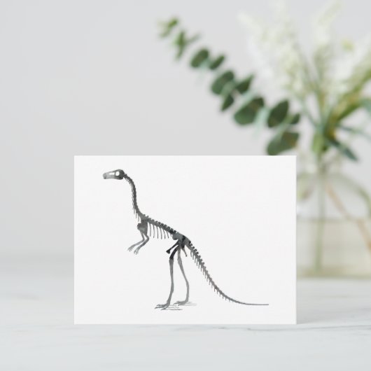 Comsognathus skelet briefkaart (Staand voorkant)