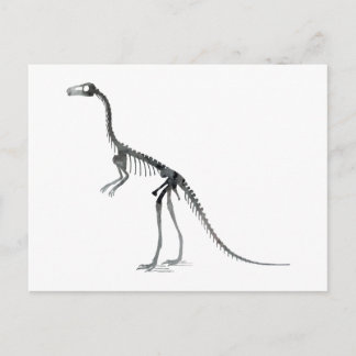 Comsognathus skelet briefkaart