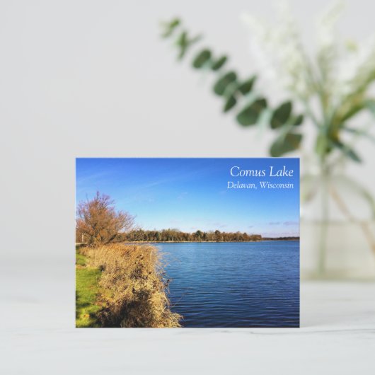 Comus Lake, Delavan, Wisconsin Briefkaart (Staand voorkant)