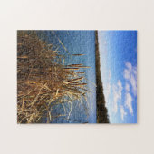 Comus Lake, Delavan, Wisconsin Legpuzzel (Horizontaal)