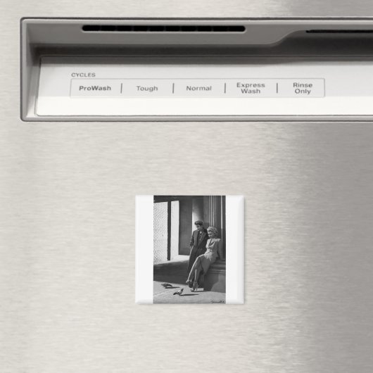 CON19BWD1 Vogels van een Feather.tif Magneet (Insitu (Vaatwasser))