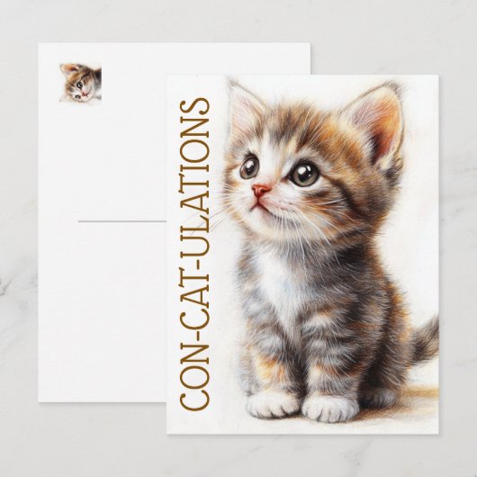 Con-Cat-Ulations, Kat, Kitten, Kat, Gefeliciteerd Briefkaart (Voorkant / Achterkant)
