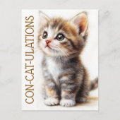 Con-Cat-Ulations, Kat, Kitten, Kat, Gefeliciteerd Briefkaart (Voorkant)