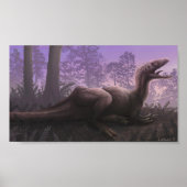 Concavenatorafdrukken Poster (Voorkant)