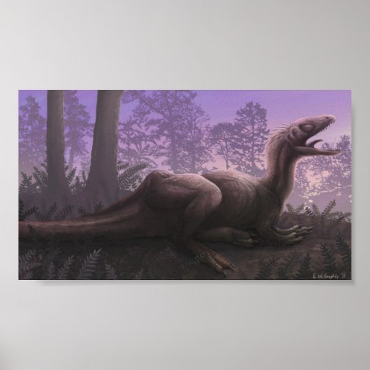 Concavenatorafdrukken Poster (Voorkant)