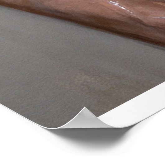 Concealed Distress in Light and Shadow Poster (Hoek)