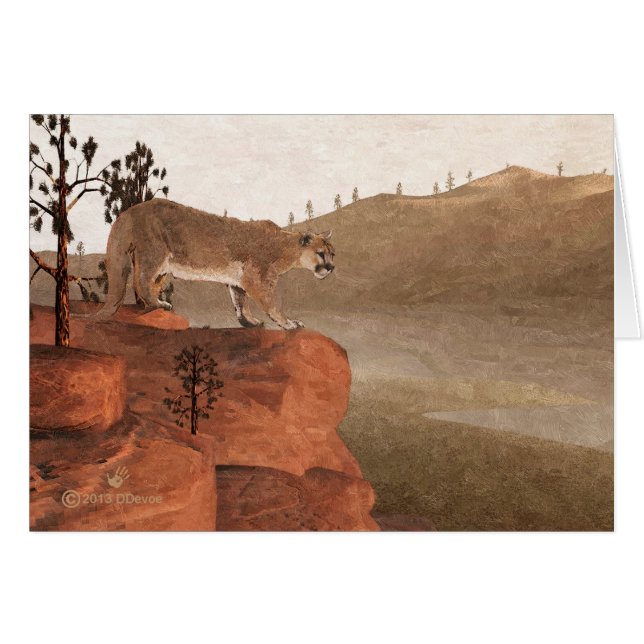 Concentratie - Cougar (Voorkant Horizontaal)