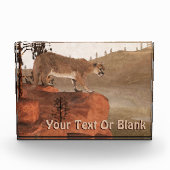 Concentratie - Cougar Fotoblokken (Voorkant)