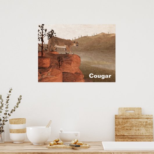 Concentratie - Cougar Poster (Keuken)