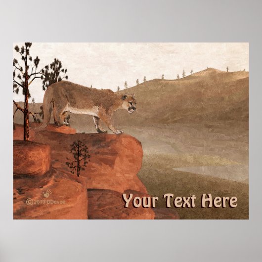 Concentratie - Cougar Poster (Voorkant)