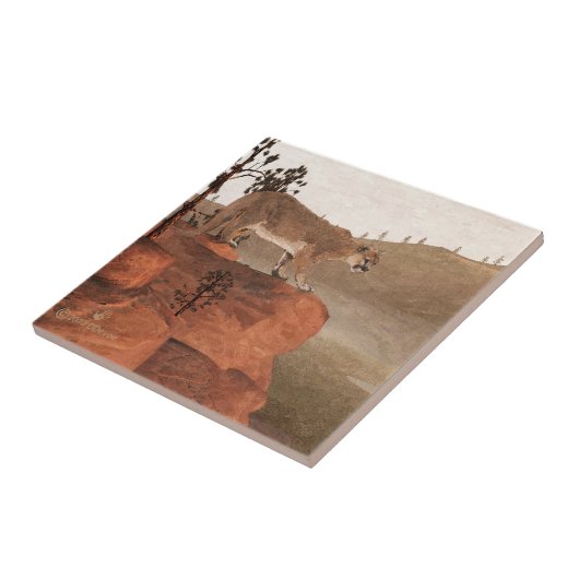 Concentratie - Cougar Tegeltje (Zijkant)