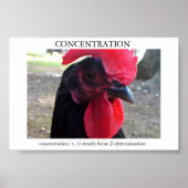 Concentratie Poster (Voorkant)