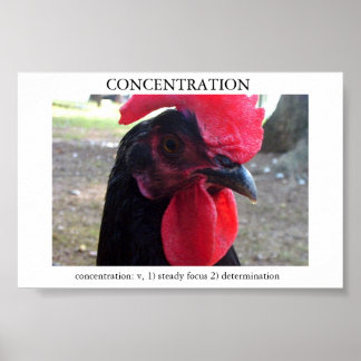Concentratie Poster
