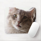 concentratievlak muismat (Met muis)
