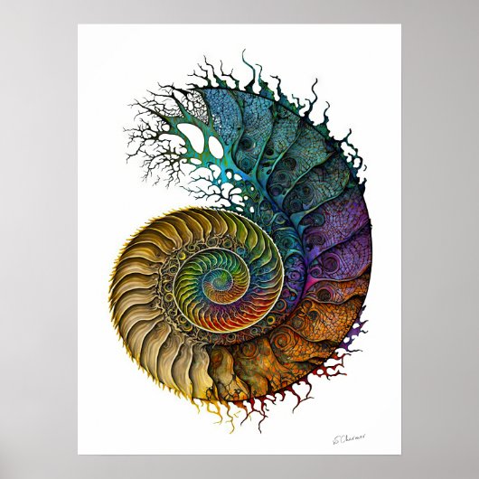 Concept Ammonietfossil in levendige inktkleuren Poster (Voorkant)