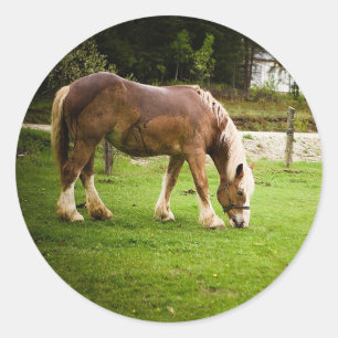 Concept grazen na afslag ronde sticker