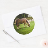 Concept grazen na afslag ronde sticker (Envelop)