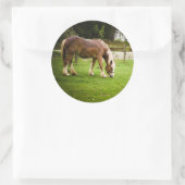 Concept grazen na afslag ronde sticker (Tas)