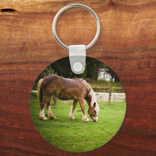 Concept grazen na afslag sleutelhanger (Voorkant)