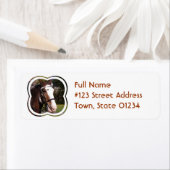 Concept Horse Rescue Mailing Label (Insitu)
