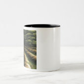 Concept-paardenhooi Tweekleurige Koffiemok (Center)